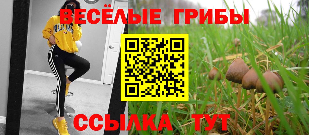 Псилоцибиновые грибы Magic Shrooms  Вход с VPN  Псилоцибиновые грибы Psilocybine cubensis  Лысьва 